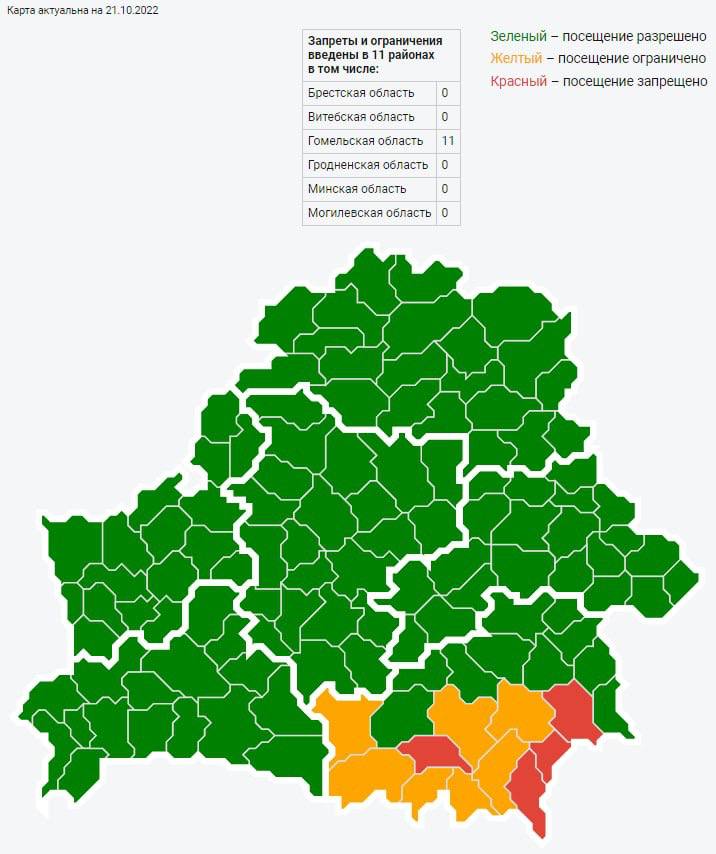 В Беларуси запретили посещать леса на границе с Украиной