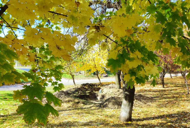 Окопы в Каховке