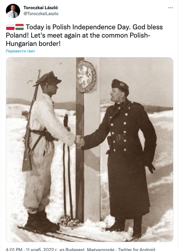 Твит Тороцкаи