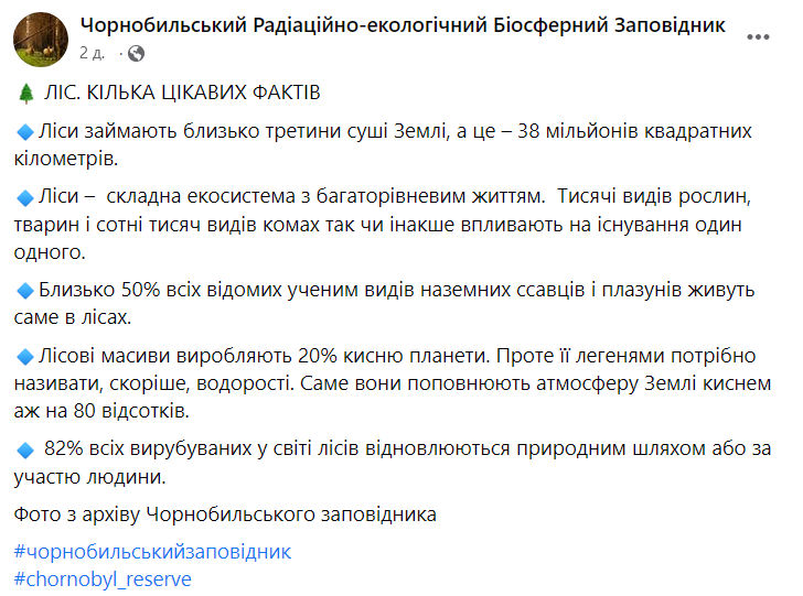 В Чернобыльском заповеднике рассказали факты о лесных массивах