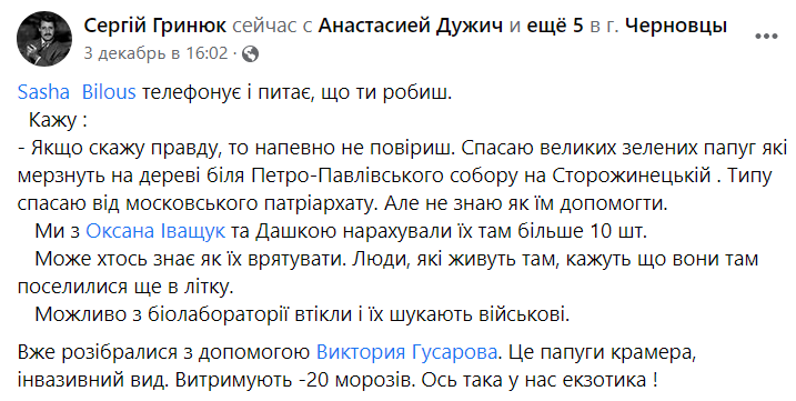 В Черновцах на деревьях поселились попугаи