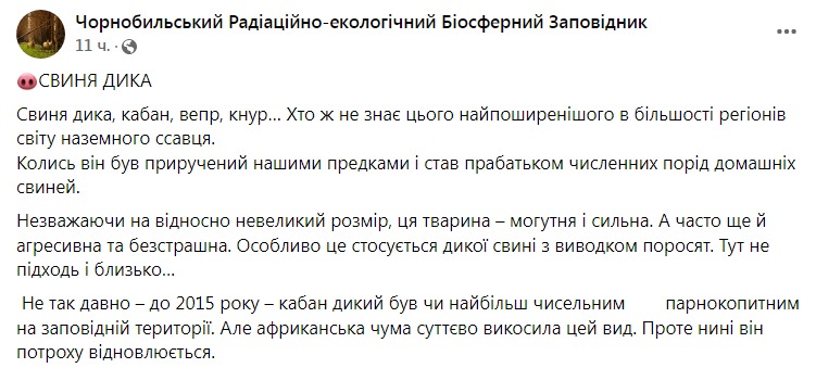 Скриншот из Фейсбука Чернобыльского заповедника
