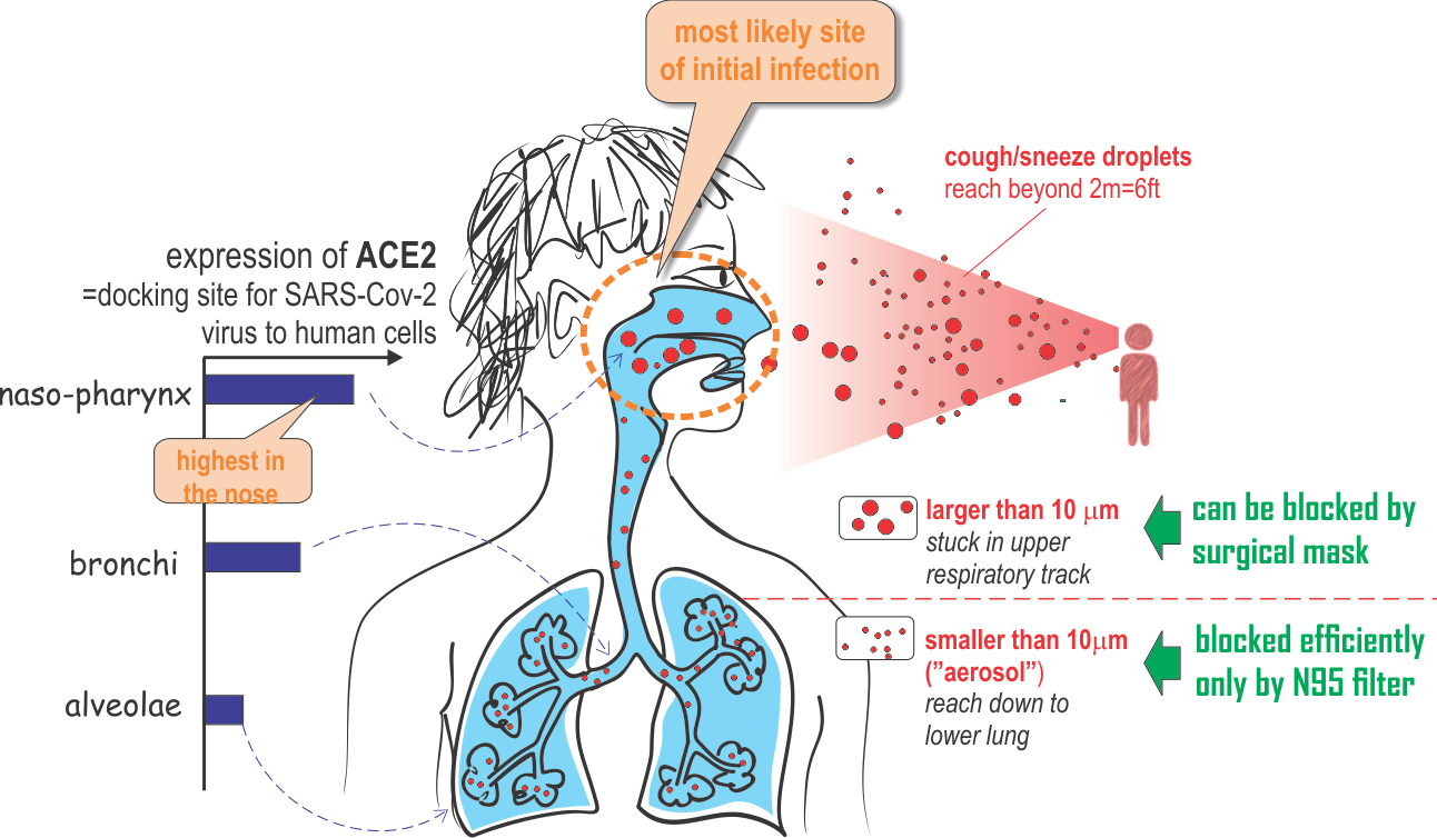 Фото: medium.com