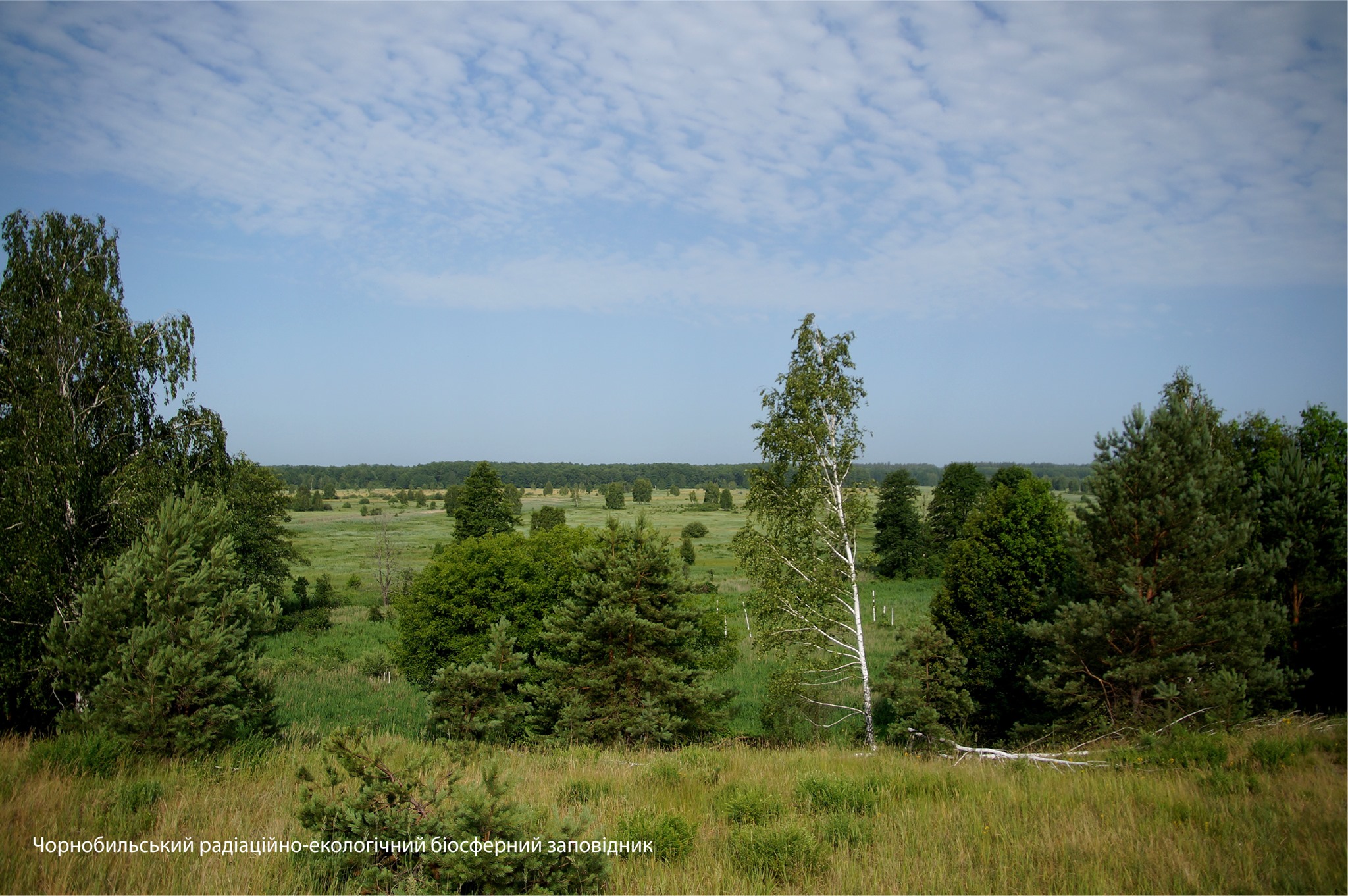 Зона отчуждения ЧАЭС
