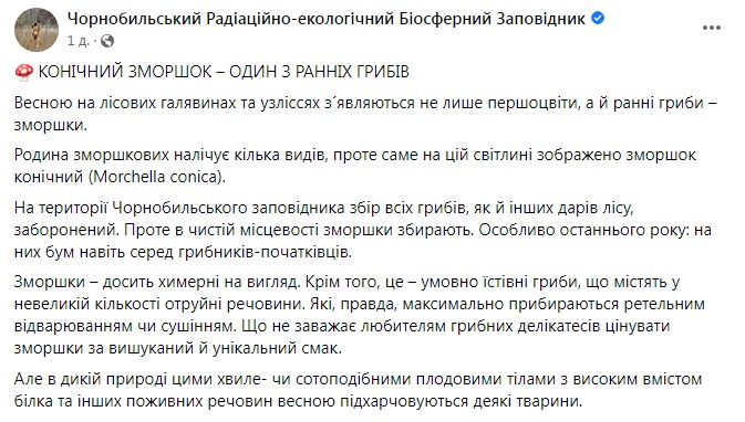 Скриншот поста в Фейсбуке