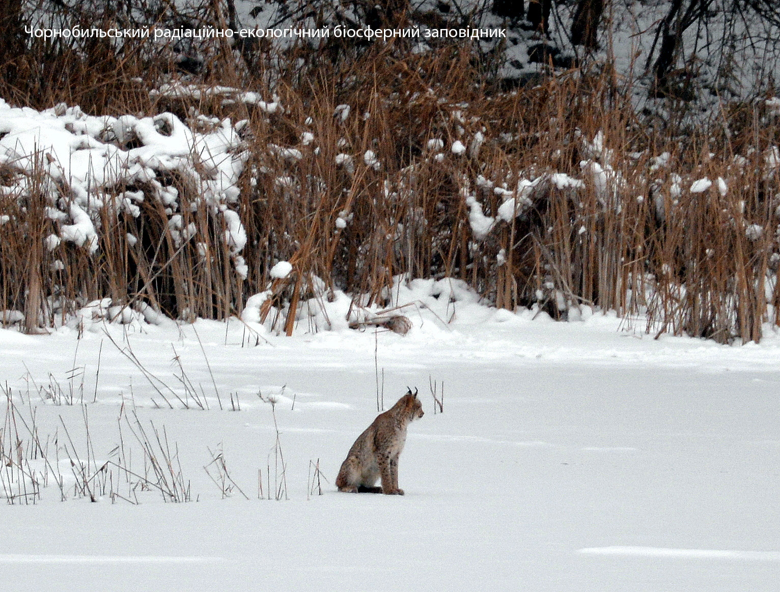 фото с Facebook