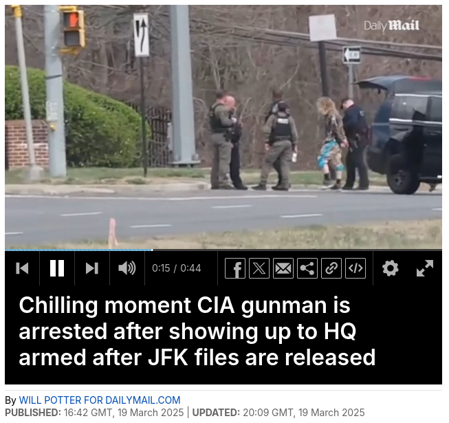 Снимок заголовка на dailymail.co.uk 